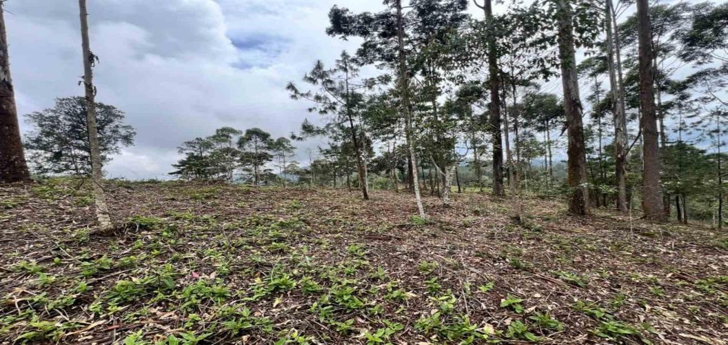 Lote en venta en Los Salados, El Retiro, 2472 m² · foto 6 de 23