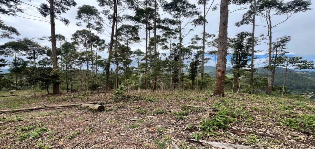 Lote en venta en Los Salados, El Retiro, 2472 m² · foto 7 de 23