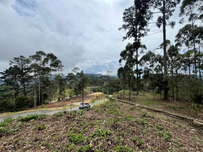 Lote en venta en Los Salados, El Retiro, 2472 m² · foto 8 de 23