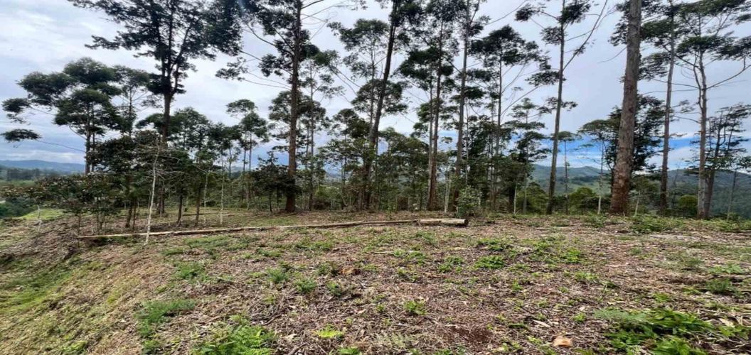 Lote en venta en Los Salados, El Retiro, 2472 m² · foto 14 de 23