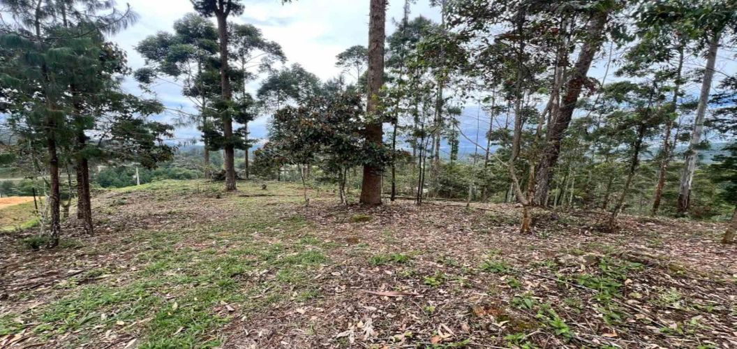 Lote en venta en Los Salados, El Retiro, 2472 m² · foto 15 de 23