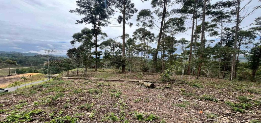 Lote en venta en Los Salados, El Retiro, 2472 m² · foto 16 de 23