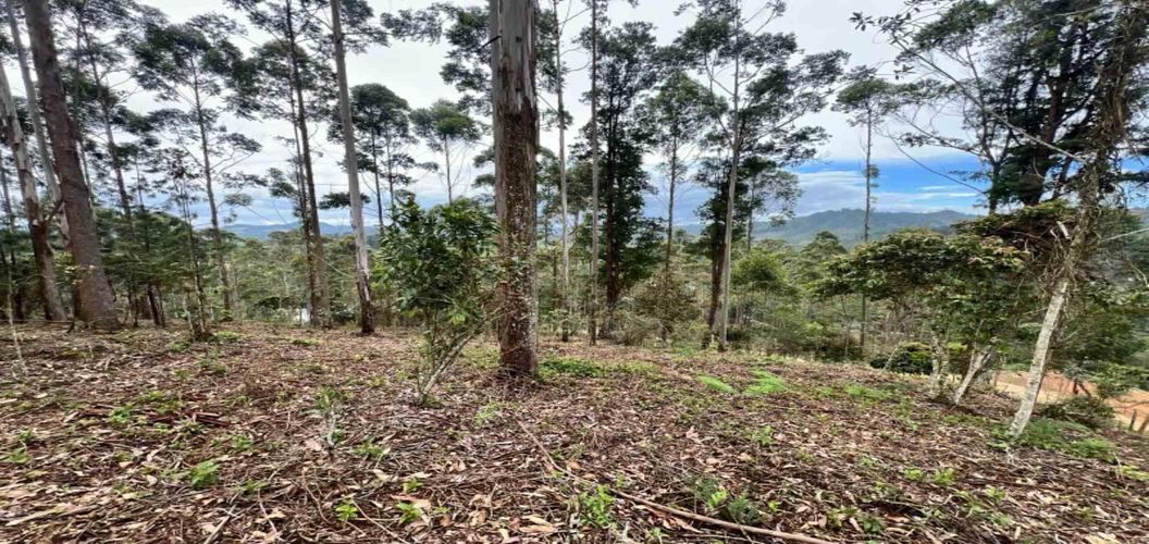 Lote en venta en Los Salados, El Retiro, 2472 m² · foto 17 de 23