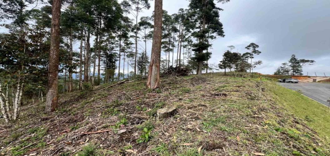 Lote en venta en Los Salados, El Retiro, 2472 m² · foto 19 de 23