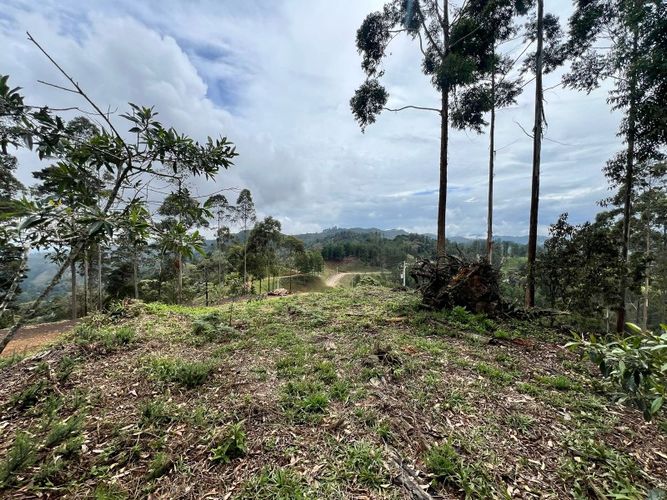 Lote en venta en Los Salados, El Retiro, 2472 m² · foto 20 de 23