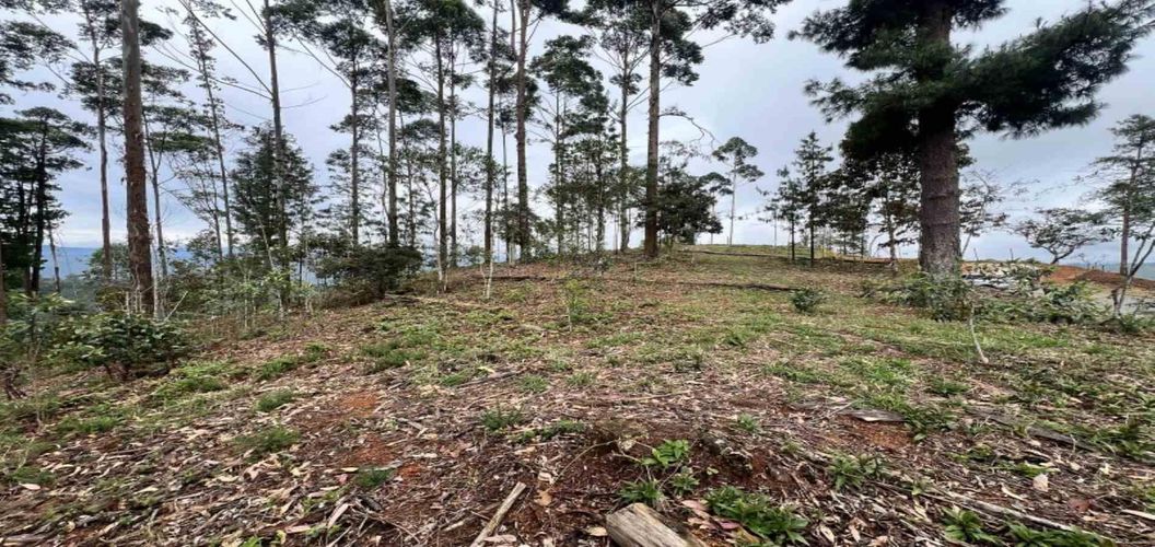 Lote en venta en Los Salados, El Retiro, 2472 m² · foto 23 de 23