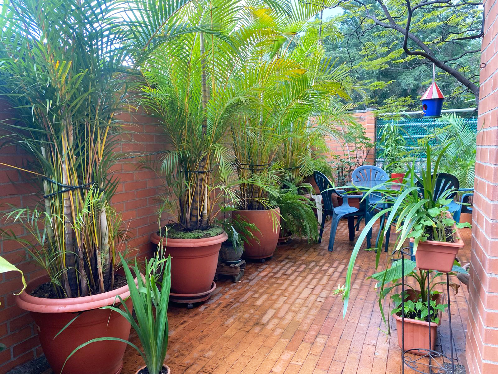 Apartamento en venta en El Poblado, Medellín · foto 17 de 19