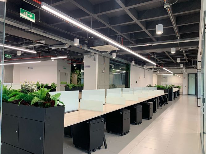 Oficina en arriendo en El Poblado, Medellín, 500 m² · foto 3 de 14
