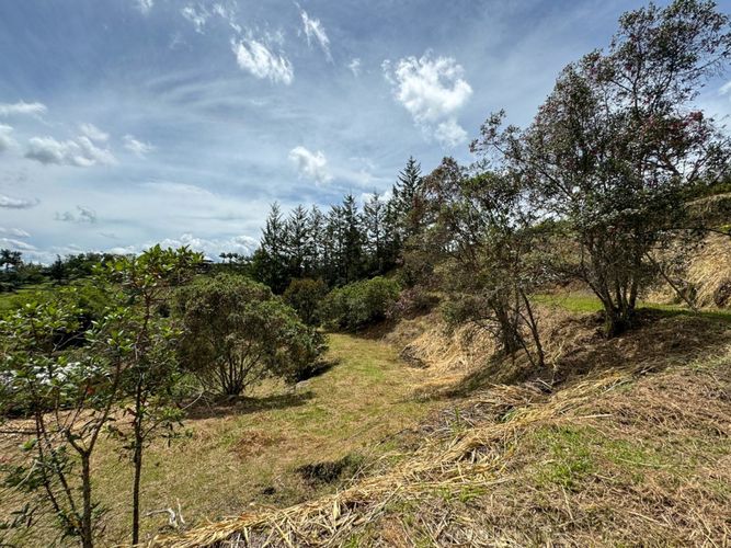 Lote en venta en Santa Ana, Rionegro, 5680 m² · foto 5 de 7