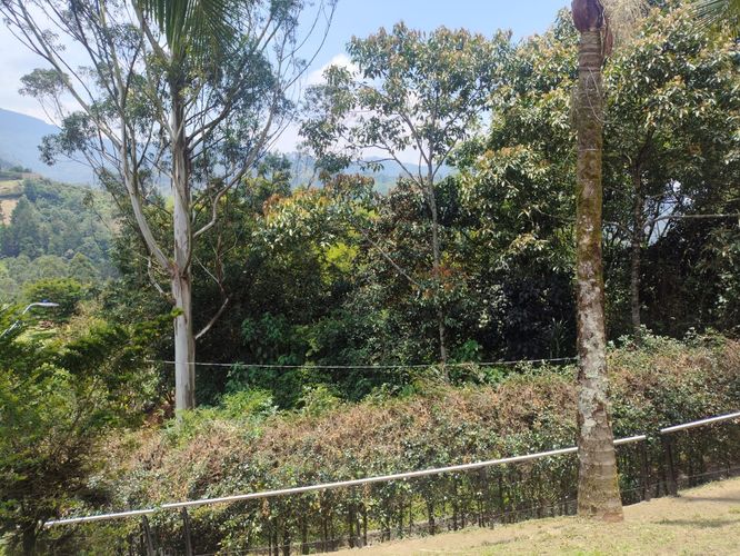 Casa de 4 alcobas en venta en Las Palmas, Envigado, 1160 m² · foto 14 de 15