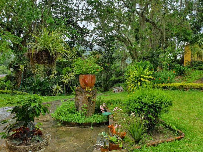 Casa de 5 alcobas en venta en Guayanas, Floridablanca, 1800 m² · foto 5 de 19