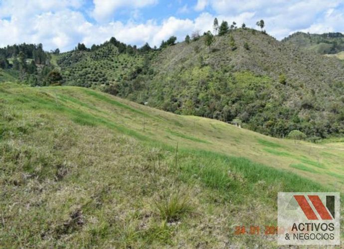 Lote en venta en Salto Del Tequendamita, El Retiro, 75526 m² · foto 2 de 4