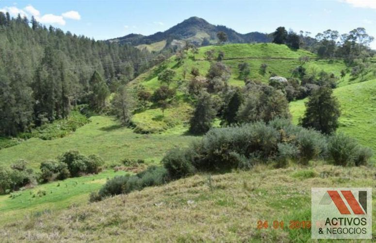 Lote en venta en Salto Del Tequendamita, El Retiro, 75526 m² · foto 3 de 4