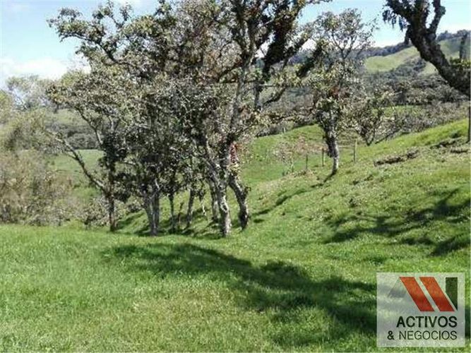 Finca en venta en Fabricato, Bello · foto 2 de 20