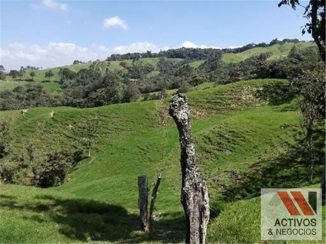 Finca en venta en Fabricato, Bello · foto 7 de 20