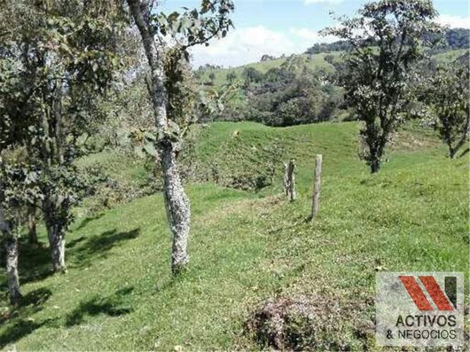 Finca en venta en Fabricato, Bello · foto 8 de 20