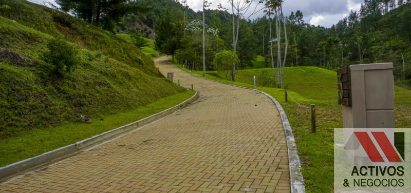 -1BR Land in Los salados for Sale - 4