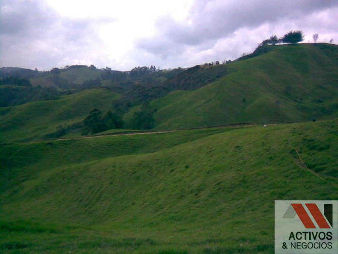 Finca en venta en Quitasol, Bello · foto 5 de 23