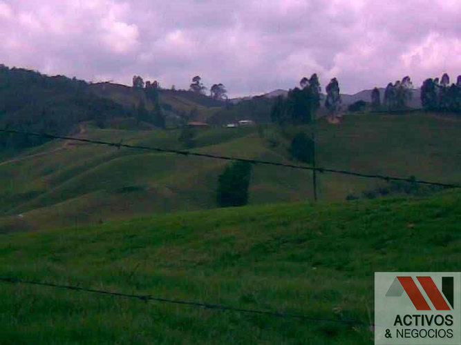 Finca en venta en Quitasol, Bello · foto 7 de 23