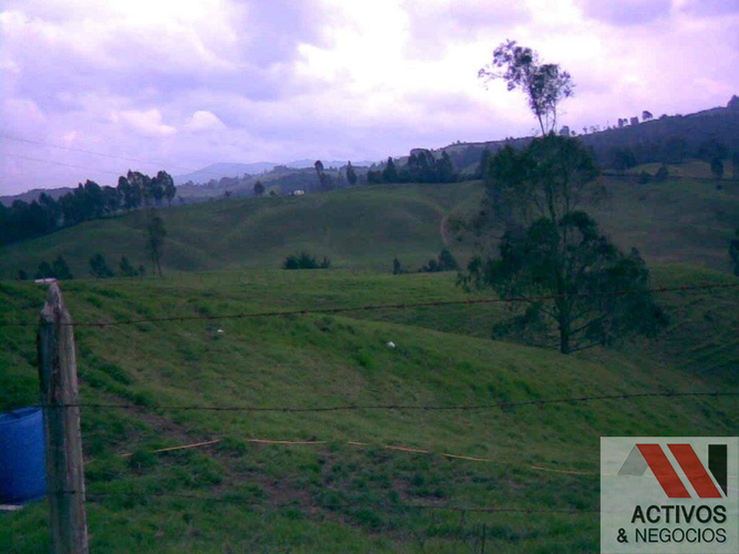 Finca en venta en Quitasol, Bello · foto 8 de 23