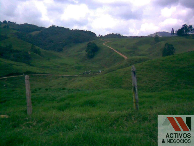 Finca en venta en Quitasol, Bello · foto 9 de 23
