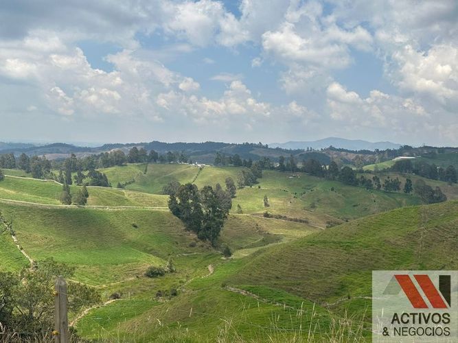 Finca en venta en Quitasol, Bello · foto 13 de 23