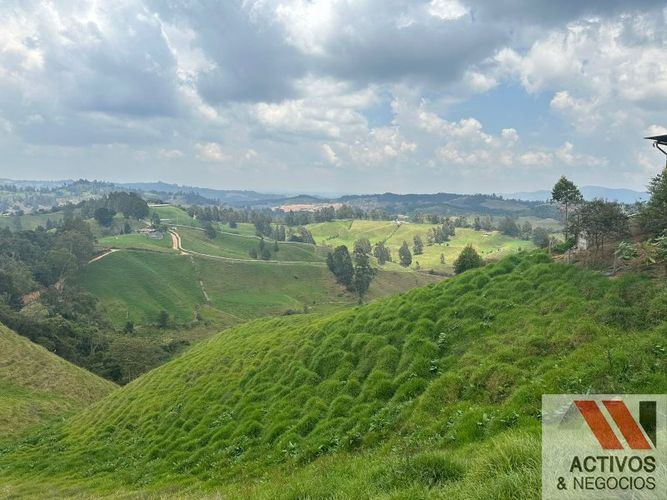 Finca en venta en Quitasol, Bello · foto 16 de 23