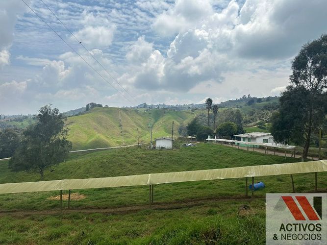 Finca en venta en Quitasol, Bello · foto 17 de 23