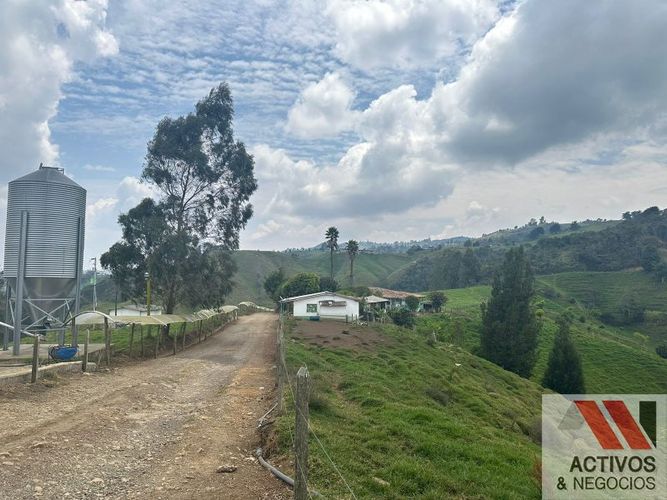 Finca en venta en Quitasol, Bello · foto 20 de 23