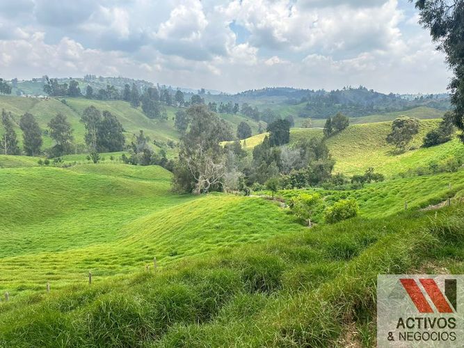 Finca en venta en Quitasol, Bello · foto 23 de 23