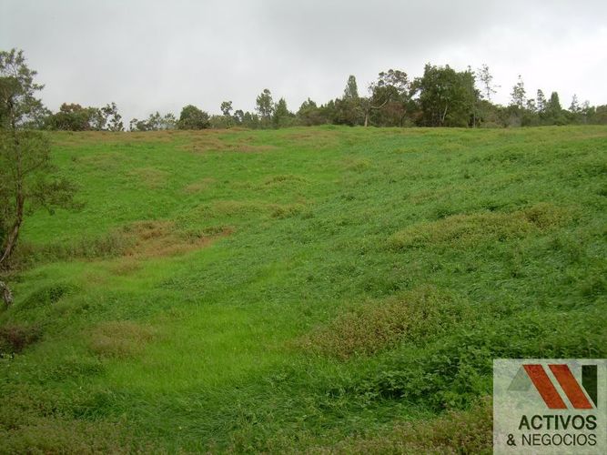 Lote en venta en Pantanillo, Envigado, 50293 m² · foto 2 de 14