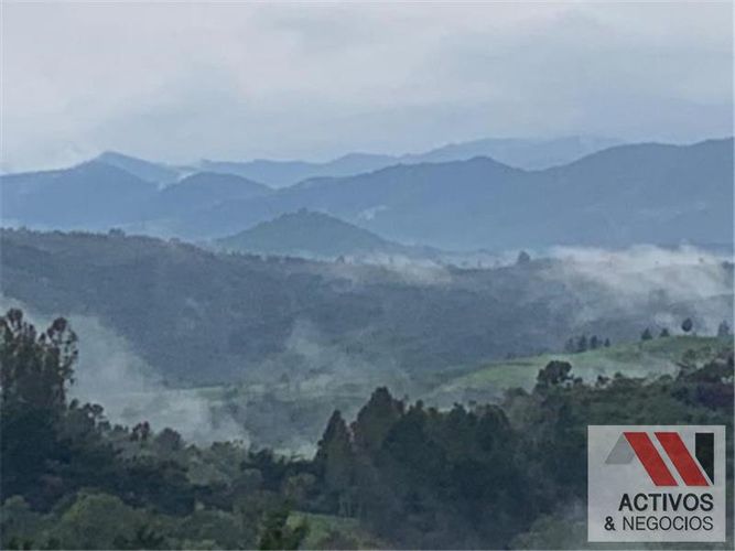 Lote en venta en Pantanillo, Envigado, 50293 m² · foto 3 de 14
