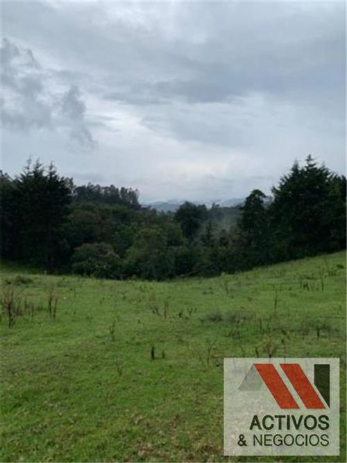 Lote en venta en Pantanillo, Envigado, 50293 m² · foto 5 de 14