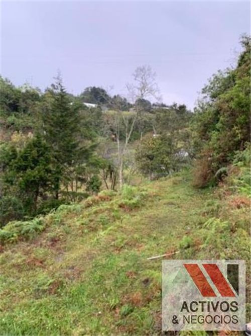 Lote en venta en Pantanillo, Envigado, 50293 m² · foto 6 de 14
