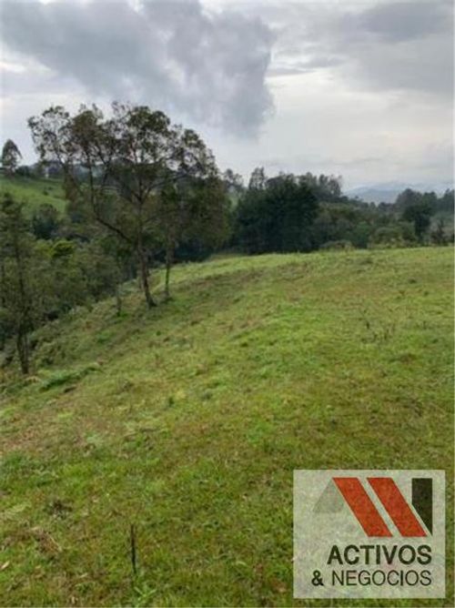 Lote en venta en Pantanillo, Envigado, 50293 m² · foto 7 de 14