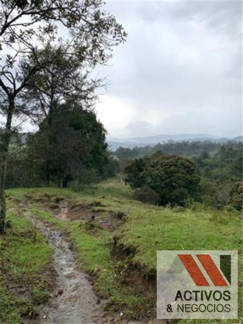 Lote en venta en Pantanillo, Envigado, 50293 m² · foto 8 de 14
