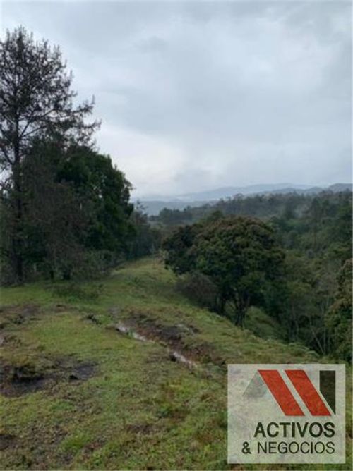 Lote en venta en Pantanillo, Envigado, 50293 m² · foto 9 de 14