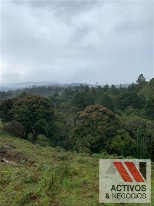 Lote en venta en Pantanillo, Envigado, 50293 m² · foto 11 de 14