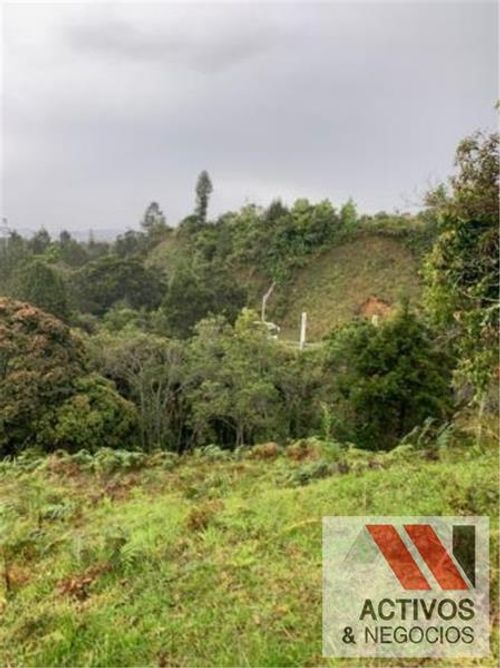 Lote en venta en Pantanillo, Envigado, 50293 m² · foto 12 de 14