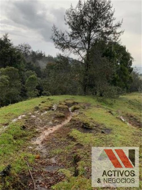 Lote en venta en Pantanillo, Envigado, 50293 m² · foto 14 de 14