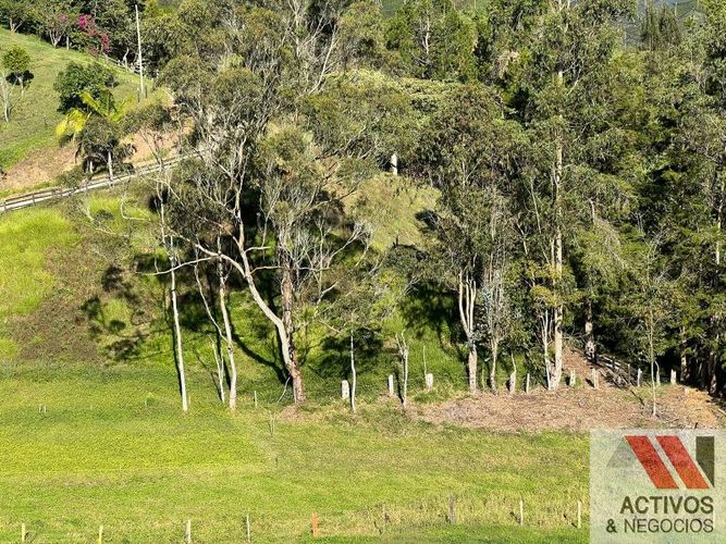 Lote en venta en Santa Ana, Rionegro, 7000 m² · foto 5 de 6