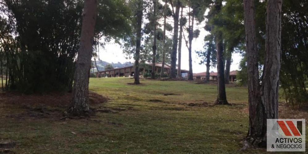 Finca en venta en Centro, Rionegro, 63000 m² · foto 5 de 24