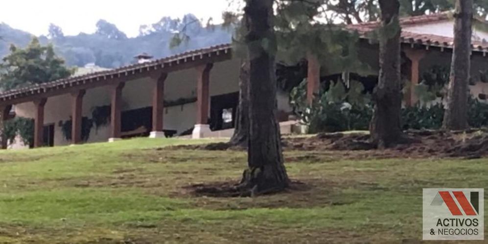 Finca en venta en Centro, Rionegro, 63000 m² · foto 9 de 24