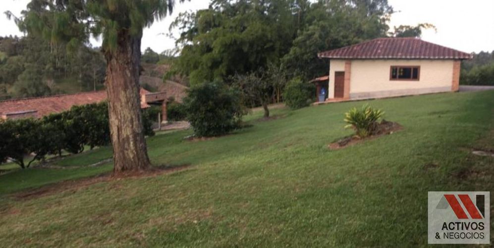Finca en venta en Centro, Rionegro, 63000 m² · foto 10 de 24