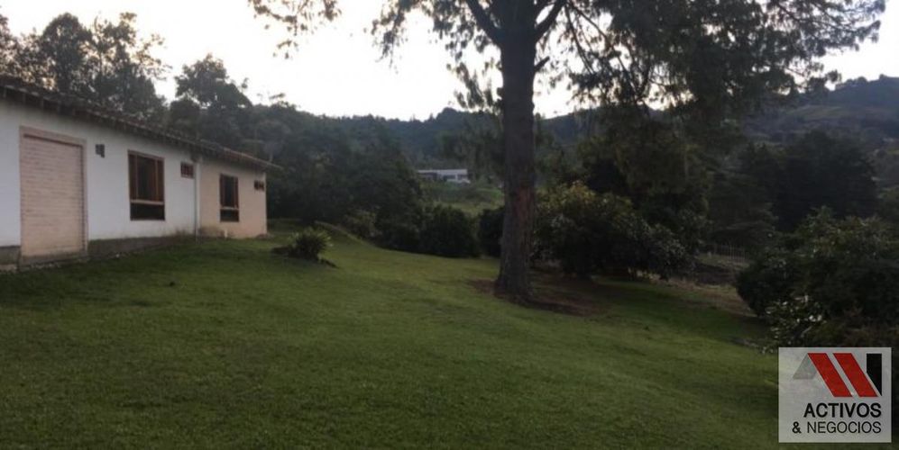 Finca en venta en Centro, Rionegro, 63000 m² · foto 11 de 24
