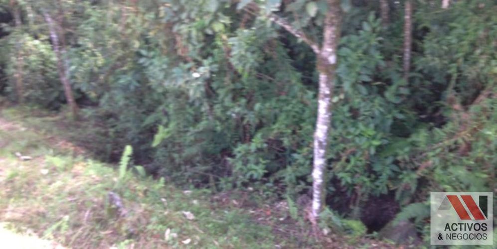 Lote en venta en Las Palmas, Envigado, 3188 m² · foto 14 de 18
