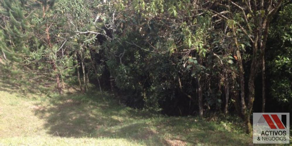 Lote en venta en Las Palmas, Envigado, 3188 m² · foto 16 de 18
