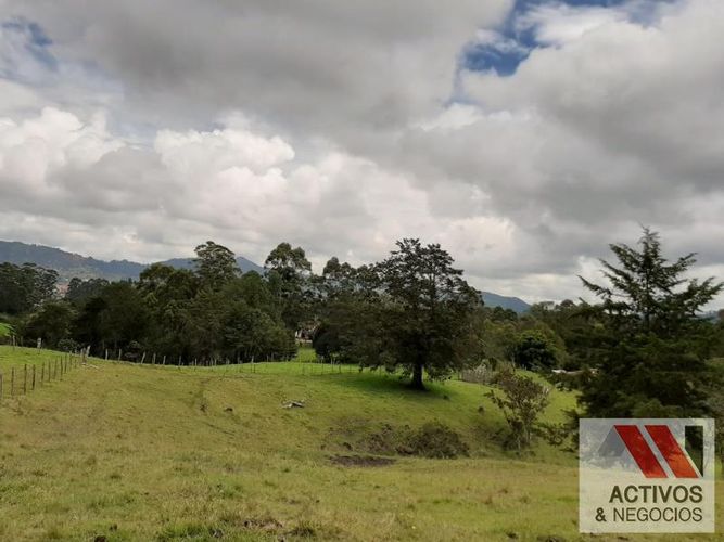 Lote en venta en El Tambo, La Ceja, 45700 m² · foto 3 de 16