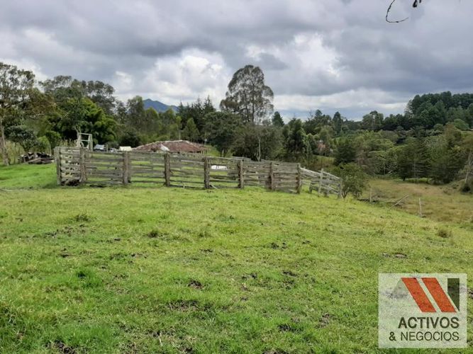 Lote en venta en El Tambo, La Ceja, 45700 m² · foto 4 de 16
