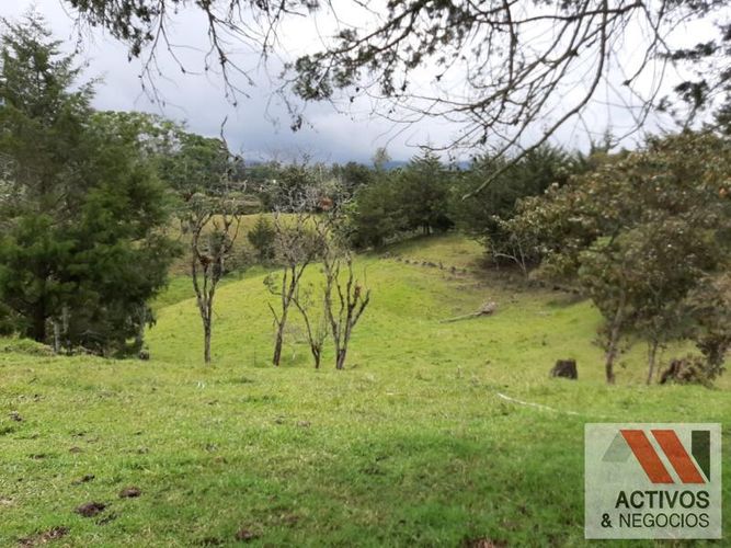Lote en venta en El Tambo, La Ceja, 45700 m² · foto 5 de 16